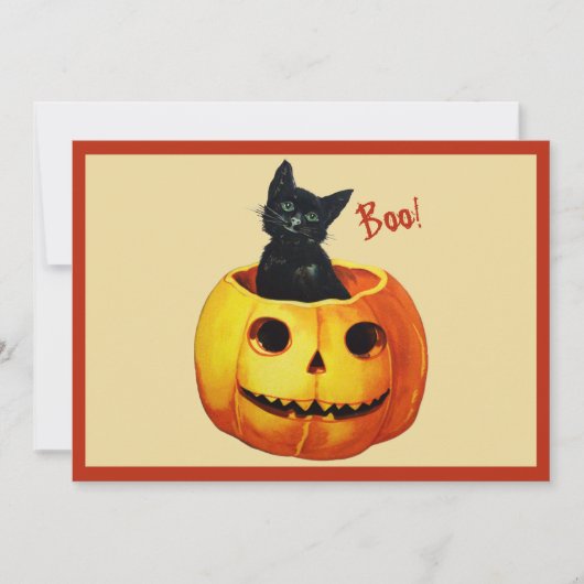 Katze in Pumpkin Feiertagskarte (Vorderseite)