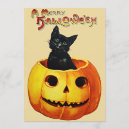 Katze in Pumpkin Halloween-Party Einladung