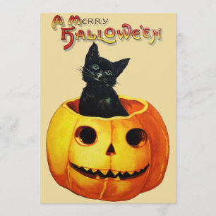 Katze in Pumpkin Halloween-Party Einladung