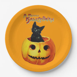 Katze in Pumpkin Halloween-Tellern Pappteller
