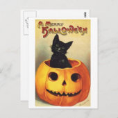 Katze in Pumpkin Postkarte (Vorne/Hinten)