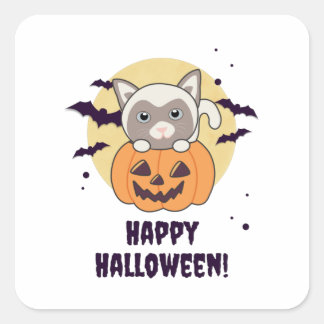 Katze in Pumpkin Sweet Cats Happy Halloween Quadratischer Aufkleber