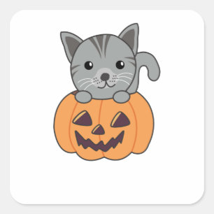 Katze in Pumpkin Sweet Cats Happy Halloween Quadratischer Aufkleber