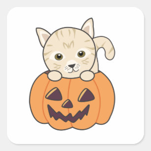 Katze in Pumpkin Sweet Cats Happy Halloween Quadratischer Aufkleber