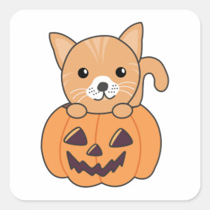 Katze in Pumpkin Sweet Cats Happy Halloween Square Quadratischer Aufkleber