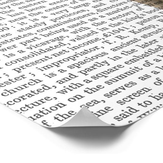 Katze in rotem Kleid Poster (Ecke)