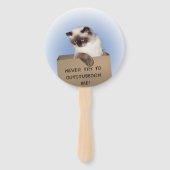 Katze in Schachtel Fächer (Rückseite)