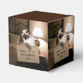 Katze in Schachtel Geschenkschachtel (Rückseite)