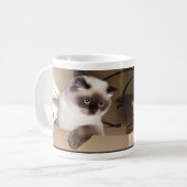 Katze in Schachtel Kaffeetasse (Vorderseite Links)