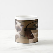 Katze in Schachtel Kaffeetasse (Mittel)
