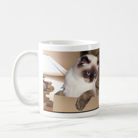 Katze in Schachtel Kaffeetasse (Links)