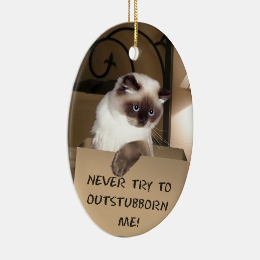 Katze in Schachtel Keramikornament (Rechts)