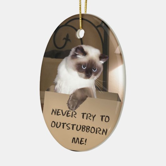 Katze in Schachtel Keramikornament (Links)