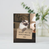 Katze in Schachtel Postkarte (Stehend Vorderseite)