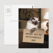 Katze in Schachtel Postkarte (Vorne/Hinten)