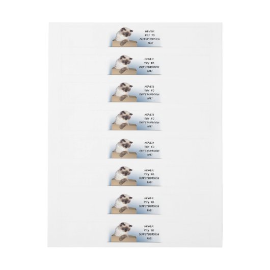 Katze in Schachtel Rundum-Adressaufkleber (Bogen)