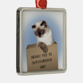 Katze in Schachtel Silbernes Ornament (Rechts)