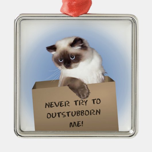 Katze in Schachtel Silbernes Ornament (Vorne)
