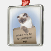 Katze in Schachtel Silbernes Ornament (Links)