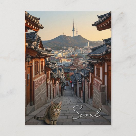 Katze in Seoul Bukchon Südkorea Postkarte (Vorderseite)
