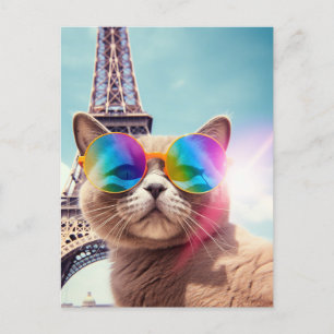 Katze in Sonnenbrille in Paris Postkarte