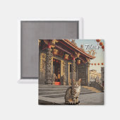 Katze in Taiwan Tainan Temple Travel Magnet (Vorderseite/Rückseite)