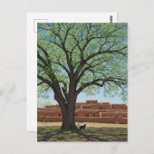 Katze in Taos Pueblo New Mexico Postkarte (Vorne/Hinten)