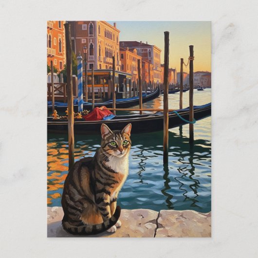 Katze in Venedig Italien Reisen Postkarte (Vorderseite)