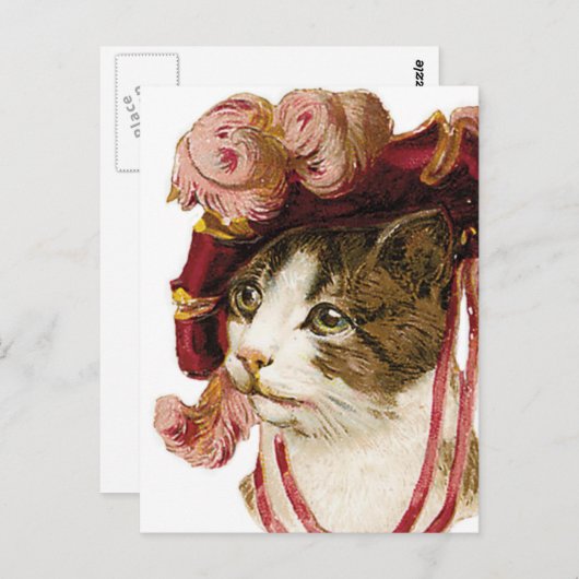 Katze in Viktorianischem Hut Postkarte (Vorne/Hinten)