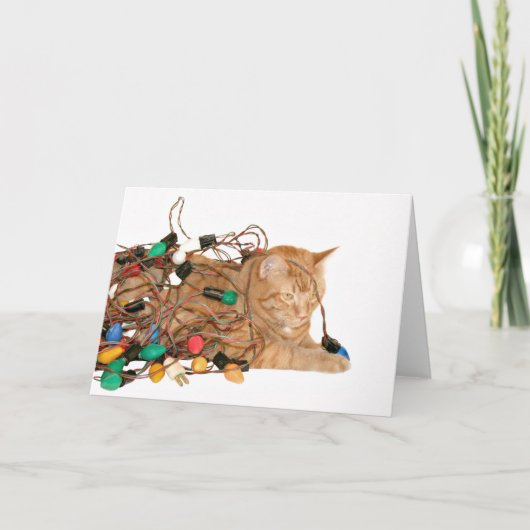 Katze in Weihnachtsbeleuchtung verwirrt Feiertagskarte (Vorderseite)