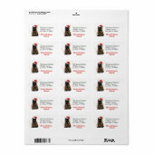 Katze in Weihnachtslicht Rücksendeadresse ummantel Adressaufkleber (Vorne)