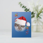 Katze in Weihnachtsmannmütze Postkarte (Stehend Vorderseite)