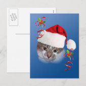 Katze in Weihnachtsmannmütze Postkarte (Vorne/Hinten)