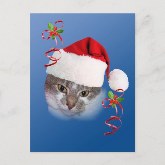 Katze in Weihnachtsmannmütze Postkarte (Vorderseite)