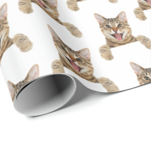 Katze in weiß geschenkpapier