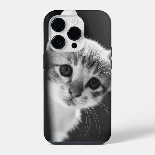 Katze iPhone Hülle (Rückseite)