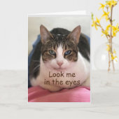 KATZE IST NICHT GLAUBBAR, DASS SIE *30" SIND KARTE (Gelbe Blume)