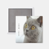 Katze ist niedlich magnet (Vorderseite/Rückseite)