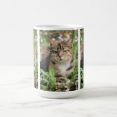 Katze Kaffeetasse (Mittel)