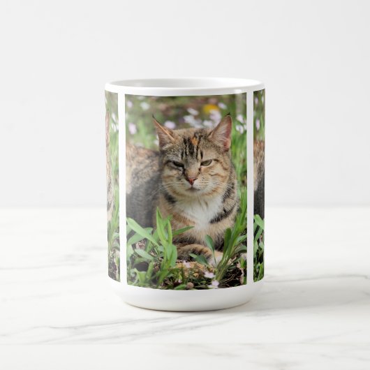 Katze Kaffeetasse (Mittel)