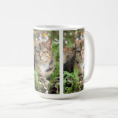 Katze Kaffeetasse (VorderseiteRechts)