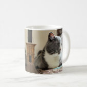Katze Kaffeetasse (VorderseiteRechts)
