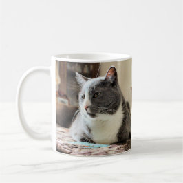 Katze Kaffeetasse