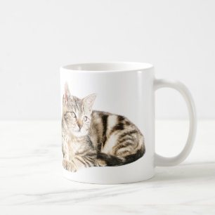 Katze Kaffeetasse