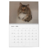 Katze Kalender (Mär 2026)