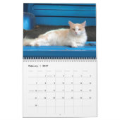Katze Kalender (Feb 2027)
