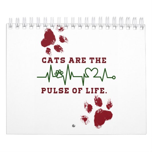 Katze Kalender (Titelbild)
