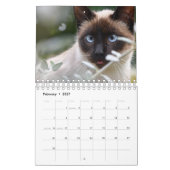Katze Kalender (Feb 2027)