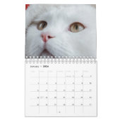Katze Kalender (Jan 2026)
