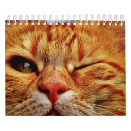 Katze Kalender